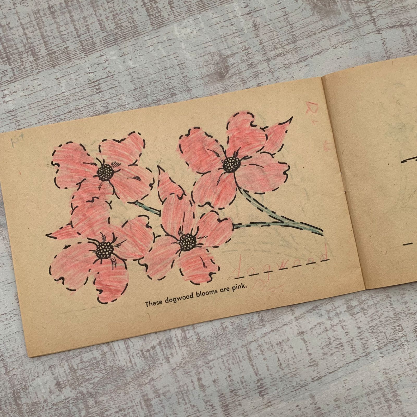 海外 ヴィンテージ 絵本(ワークブック) 紙もの 素材セット ジャンク