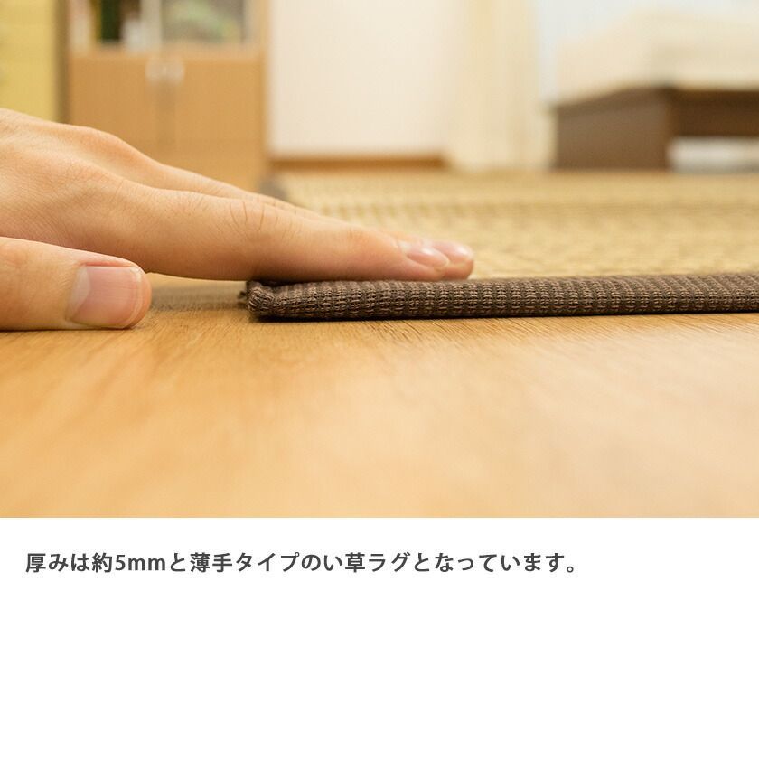 ラグ・カーペット・マット 【訳あり品・現品限り】い草ラグ 4.5畳 261 