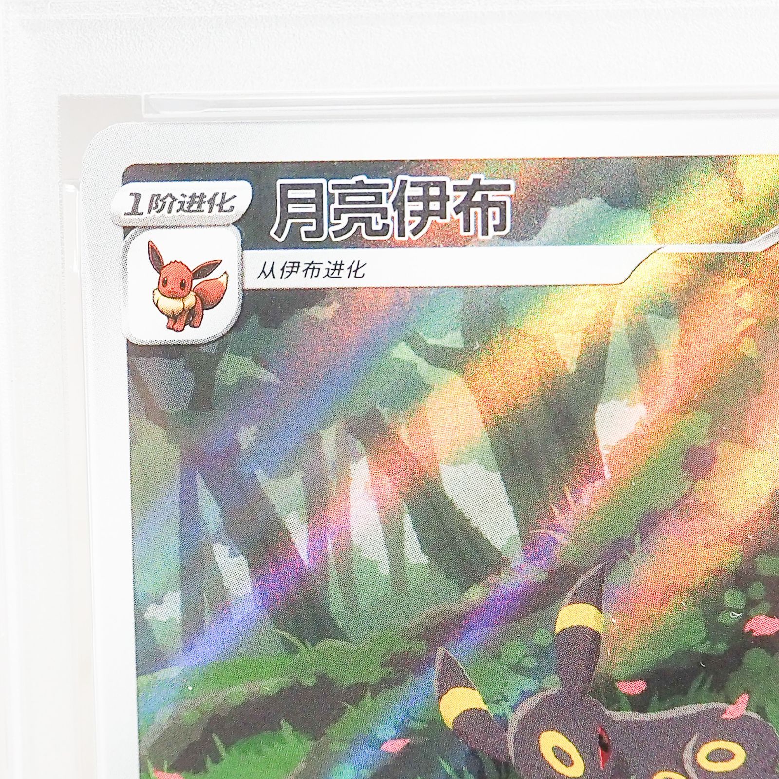 CO5245 【PSA 6】ブラッキー 月亮伊布 0615/1中国語 ポケモンカード