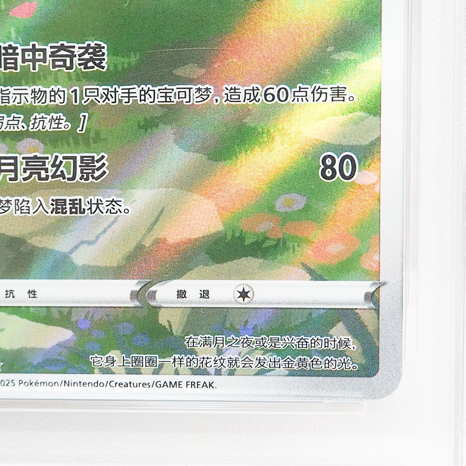 CO5245 【PSA 6】ブラッキー 月亮伊布 0615/1中国語 ポケモンカード