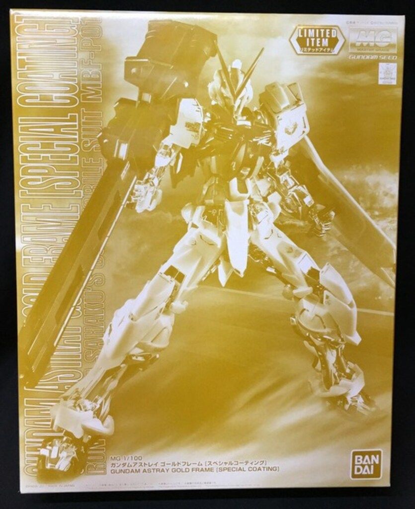 バンダイ MG 1/100 機動戦士ガンダムSEED ASTRAY ガンダムアストレイ