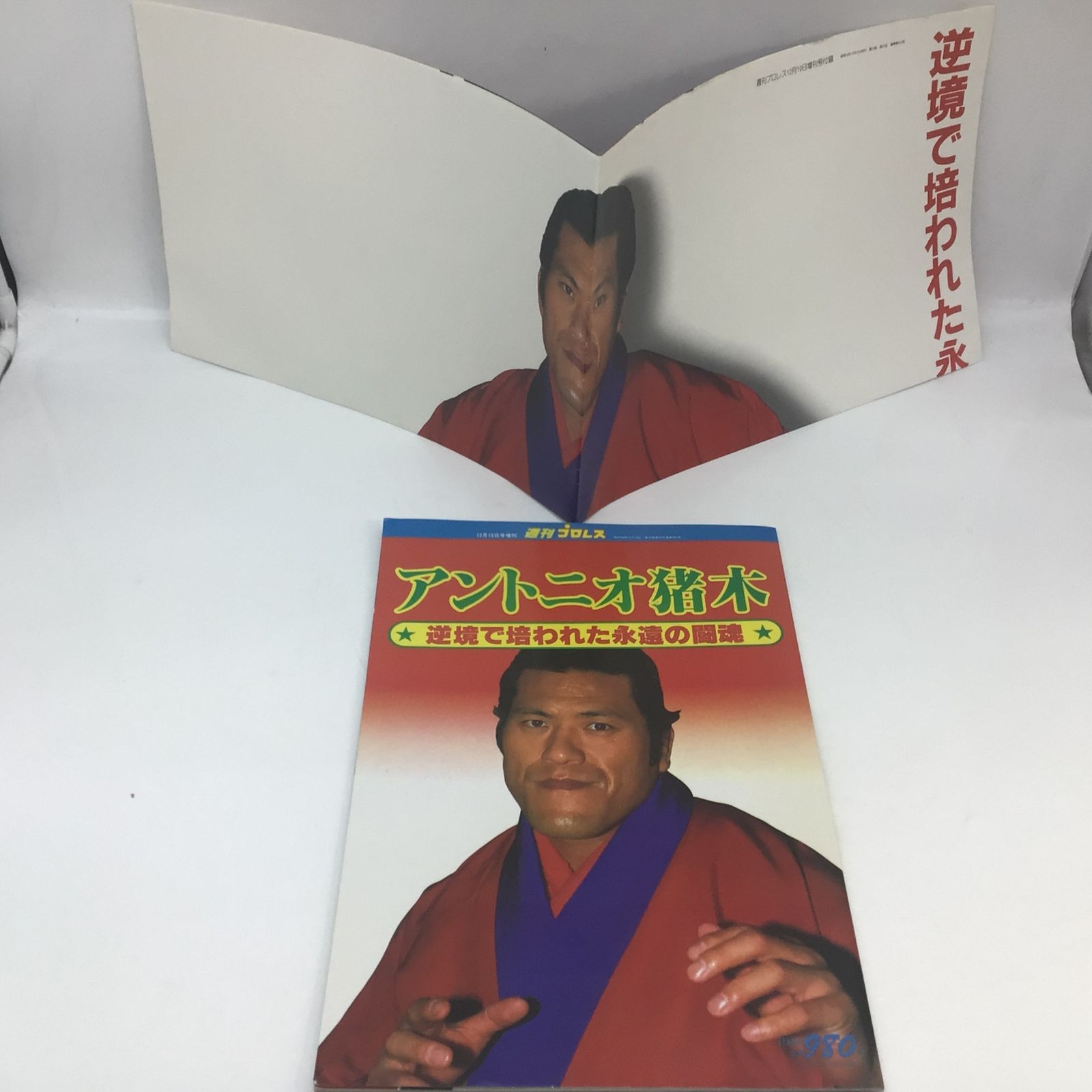 1067 アントニオ猪木 逆境で培われた永遠の闘魂 週刊プロレス 昭和58年