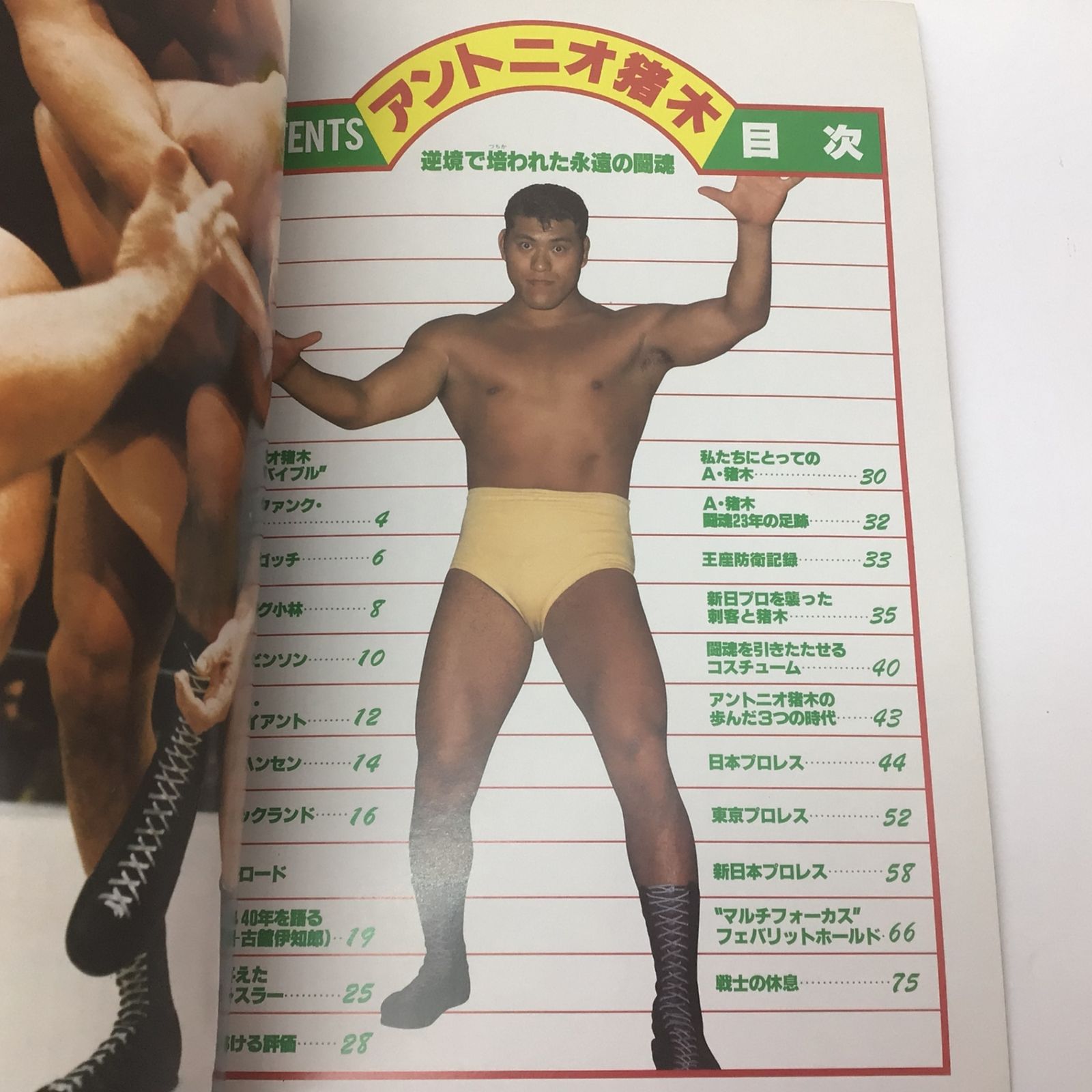1067 アントニオ猪木 逆境で培われた永遠の闘魂 週刊プロレス 昭和58年