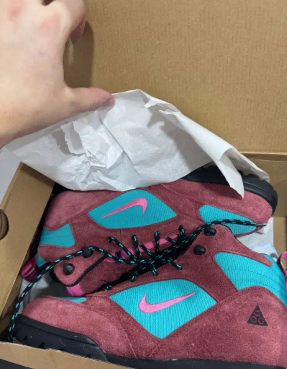 トゥーレ ミッド