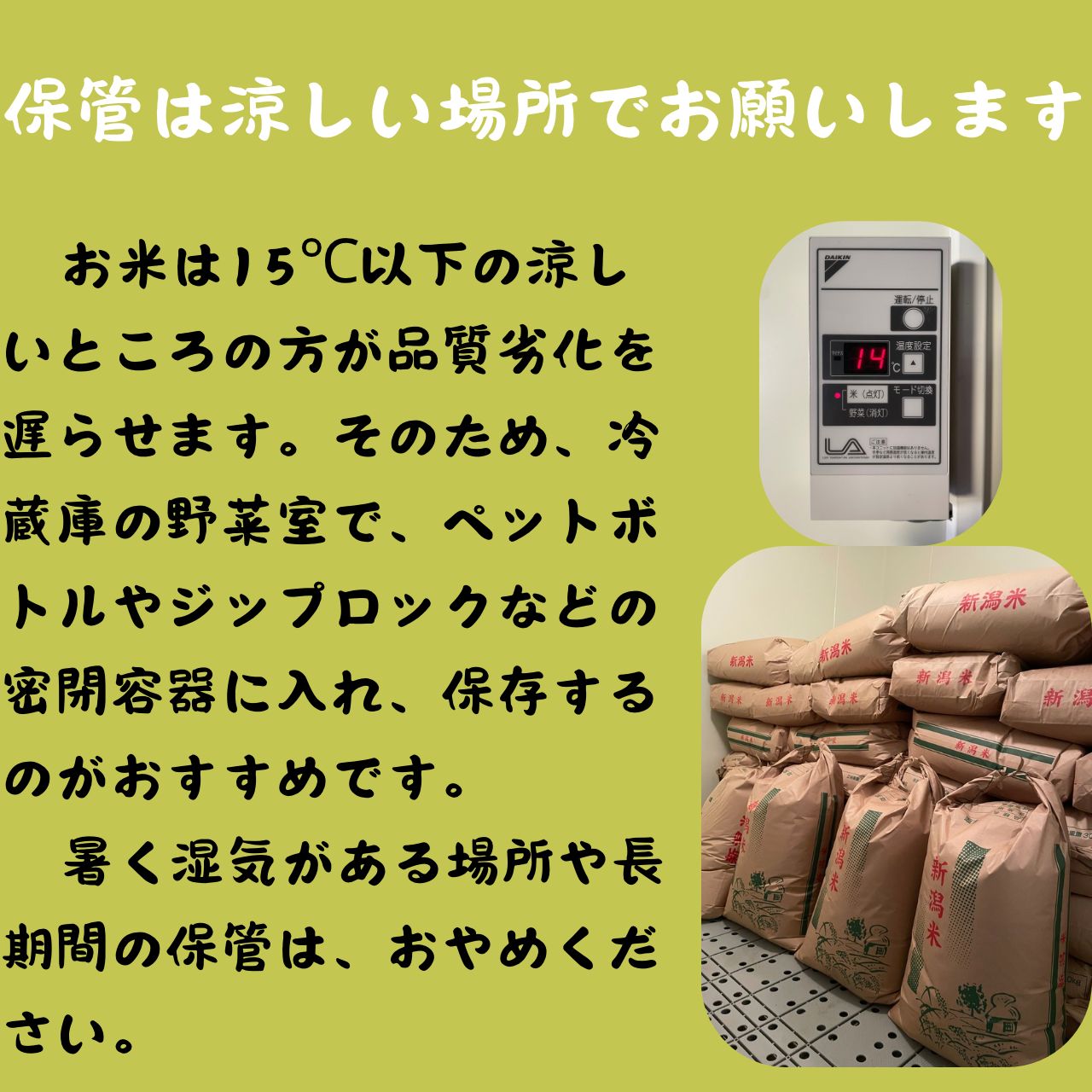 令和7年産 新潟県産コシヒカリ 10kg 玄米 - メルカリ