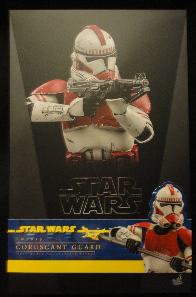 HOTTOYS GUARD TMS 025