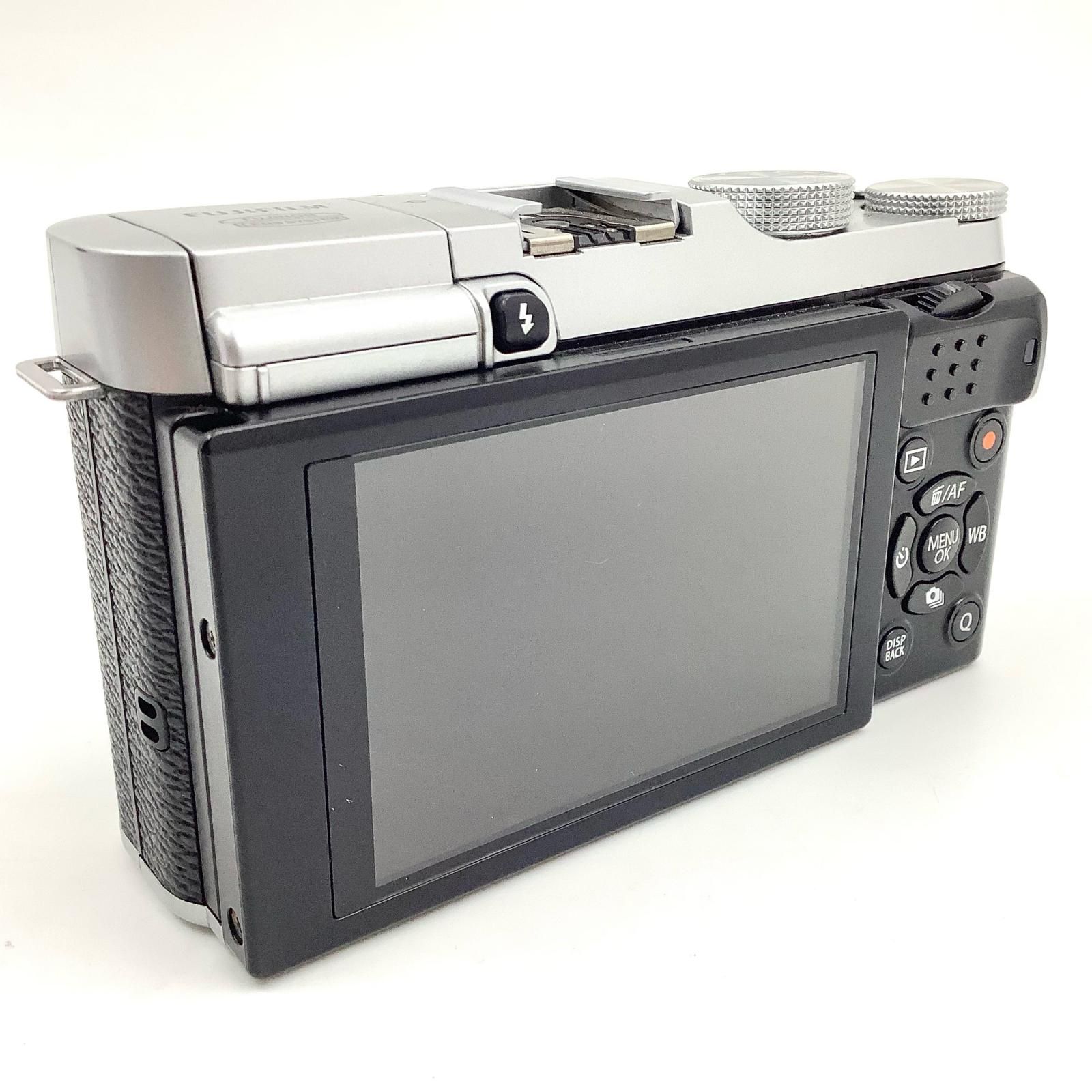 ボディ シルバー