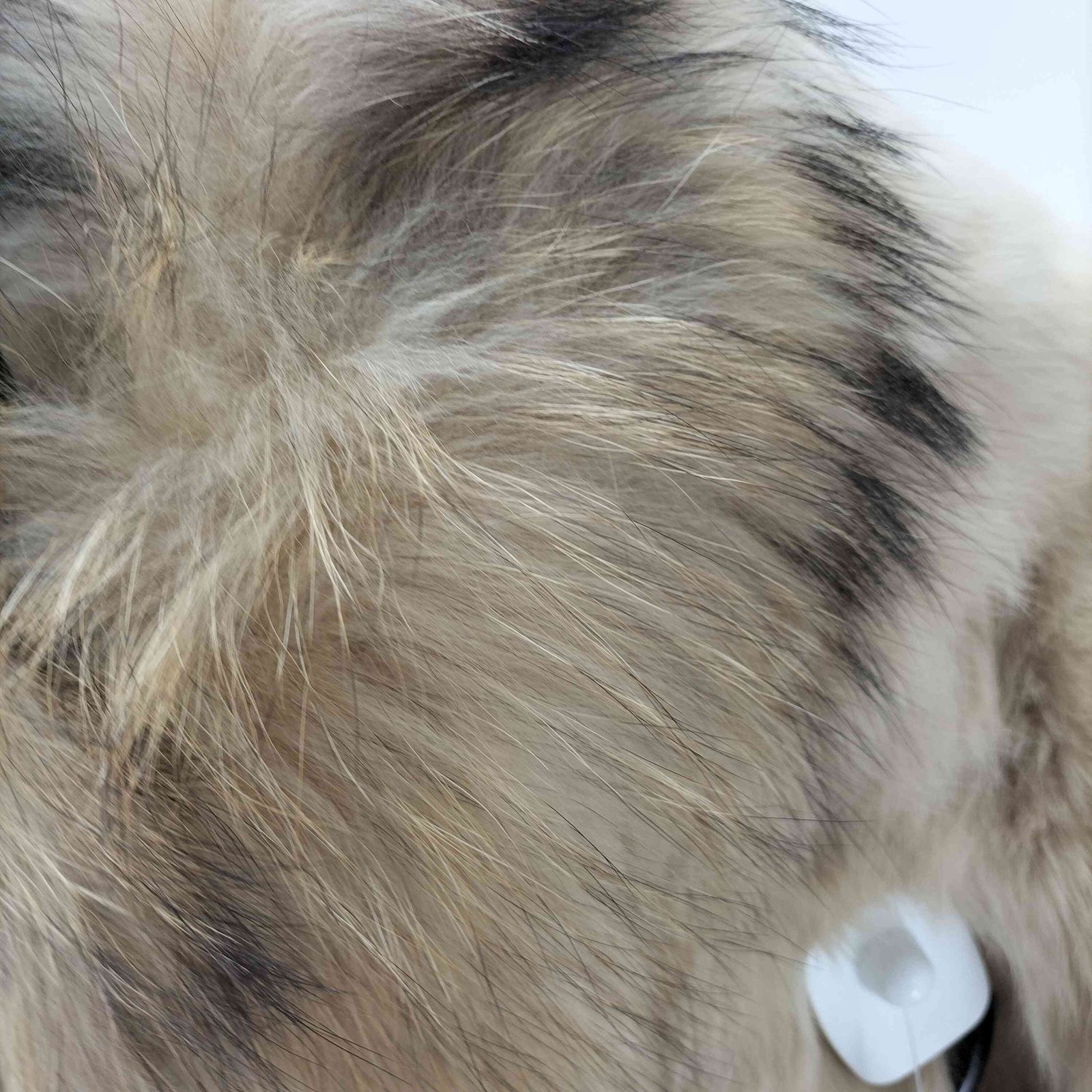 ユーズドフルギ USED古着 Raccoon ＆ Rabbit Real FOX Fur 100% Mouton