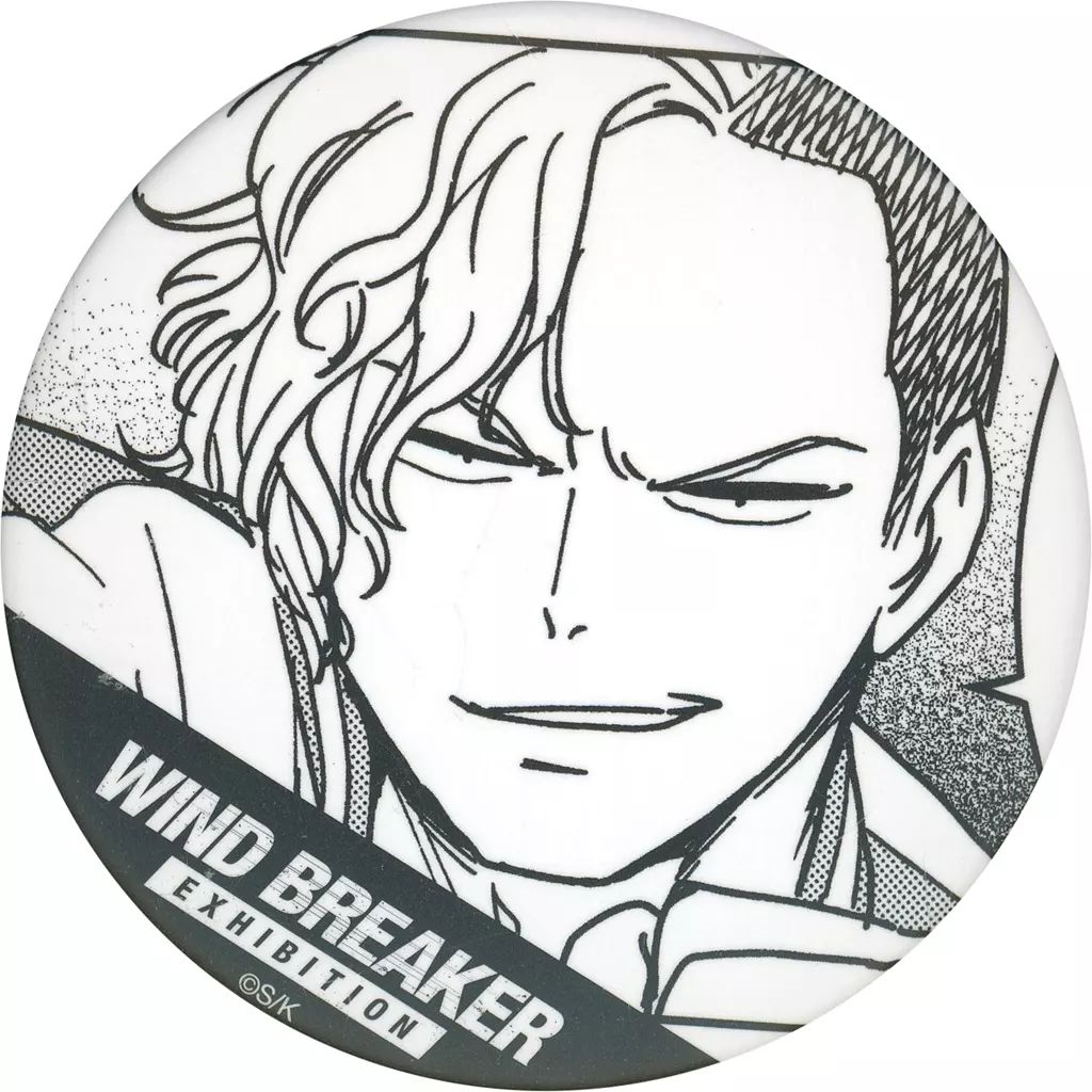 WIND BREAKER展 ランダム原作コマ缶バッジ vol.1 桜、有馬セット WIND BREAKER展 ランダム原作コマ缶バッジ vol.1 桜、有馬セット WIND