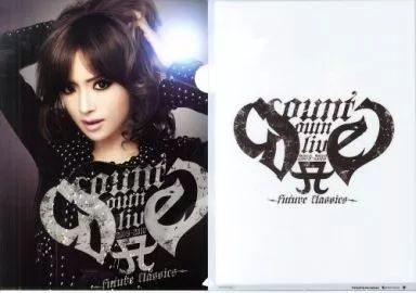 中古】クリアファイル(女性アイドル) 浜崎あゆみ TeamAyuオリジナル