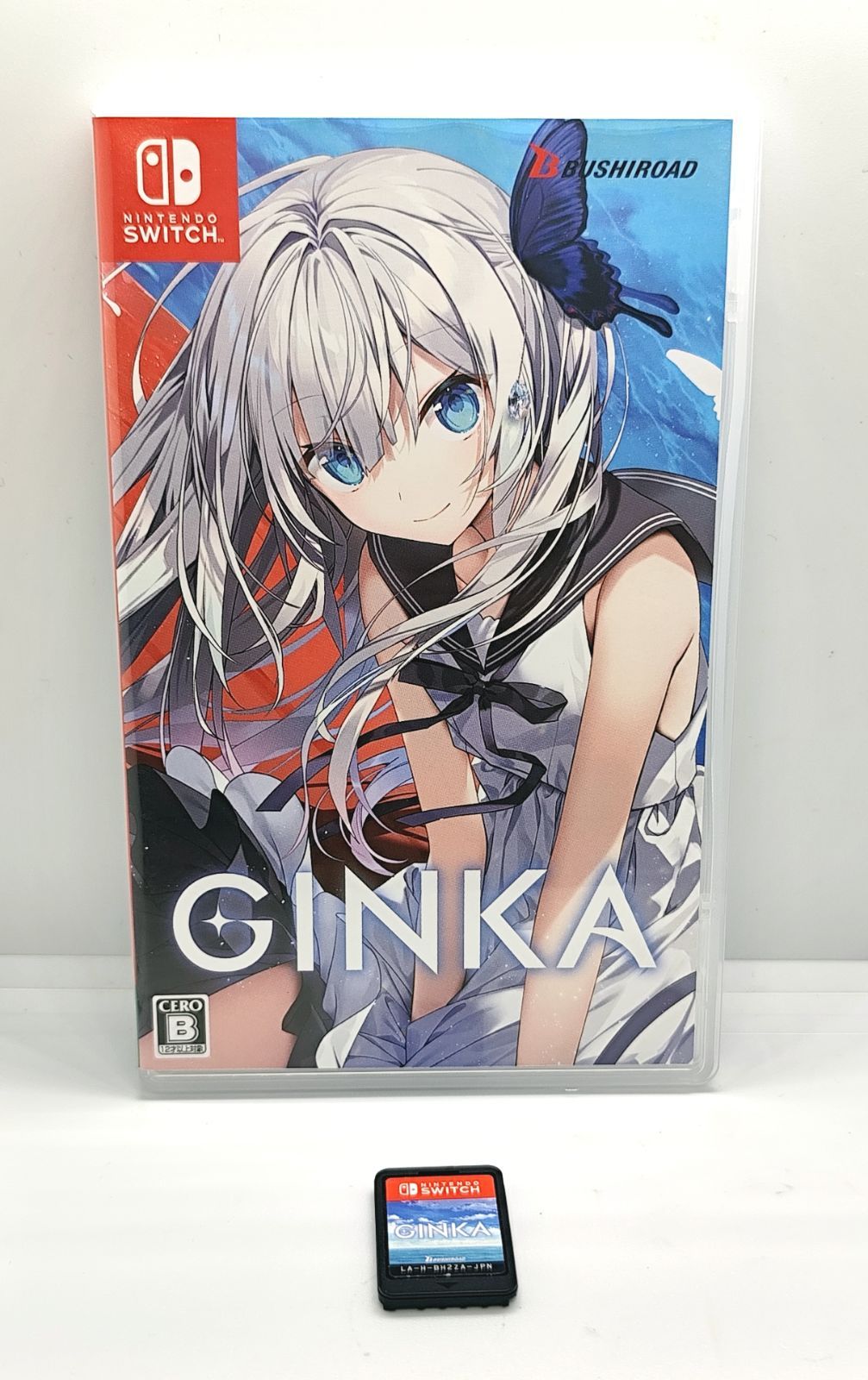 SwitchソフトGINKA ギンカ 中古品 - メルカリ