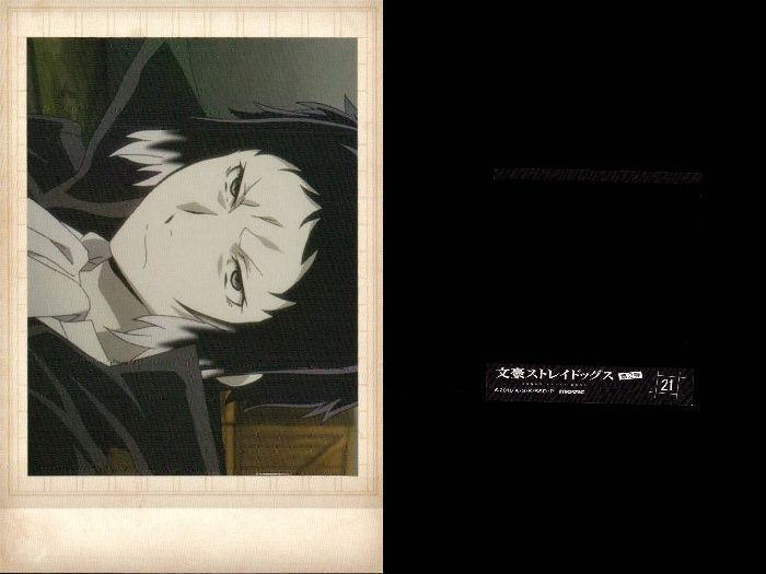 ux341 文豪ストレイドッグス ぱしゃこれ 中島敦 芥川龍之介 アップ 2枚