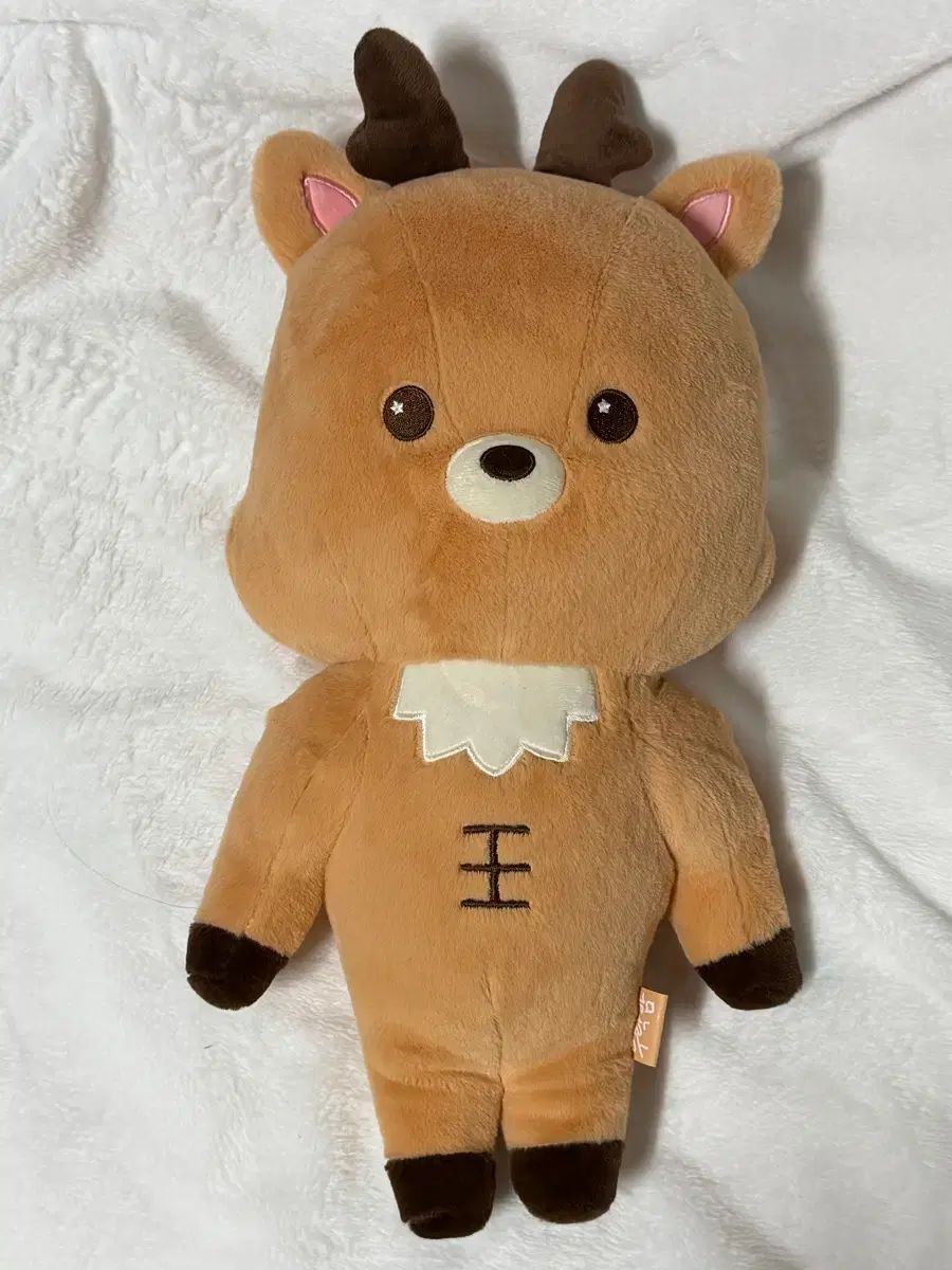 RIIZE ソンチャン ウラクバン 40 cm