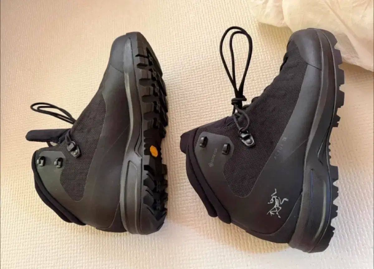 ARC TERYX アークテリクスArcs アークス TR GTX W ブラック