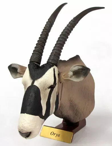 2026年最新】ハンティングトロフィー ガチャの人気アイテム - メルカリ