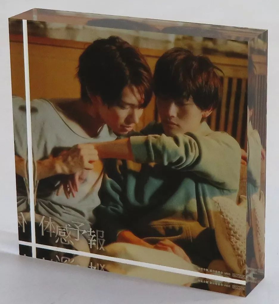 ドラマ体感予報 Blu-Ray アクスタ セット 中古】アクリルスタンド・アクリルパネル 樋口幸平(瀬ヶ崎瑞貴)＆増子