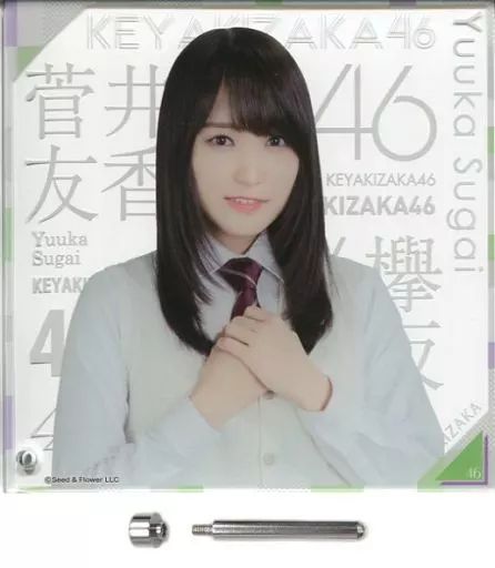 中古】アクリルスタンド・アクリルパネル 菅井友香(欅坂46) アクリル