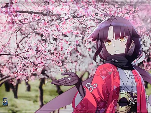 兵庫県　アサシン/刑部姫 B2タペストリー 関西ver. 兵庫県 アサシン/刑部姫 B2タペストリー 関西ver. 兵庫県 アサシン