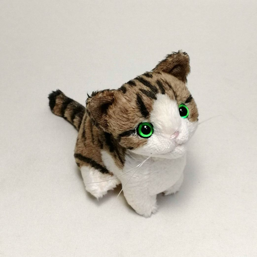 人形猫 白 猫 ぬいぐるみ ぬいぐるみ・人形・置物 A猫 白猫のアート