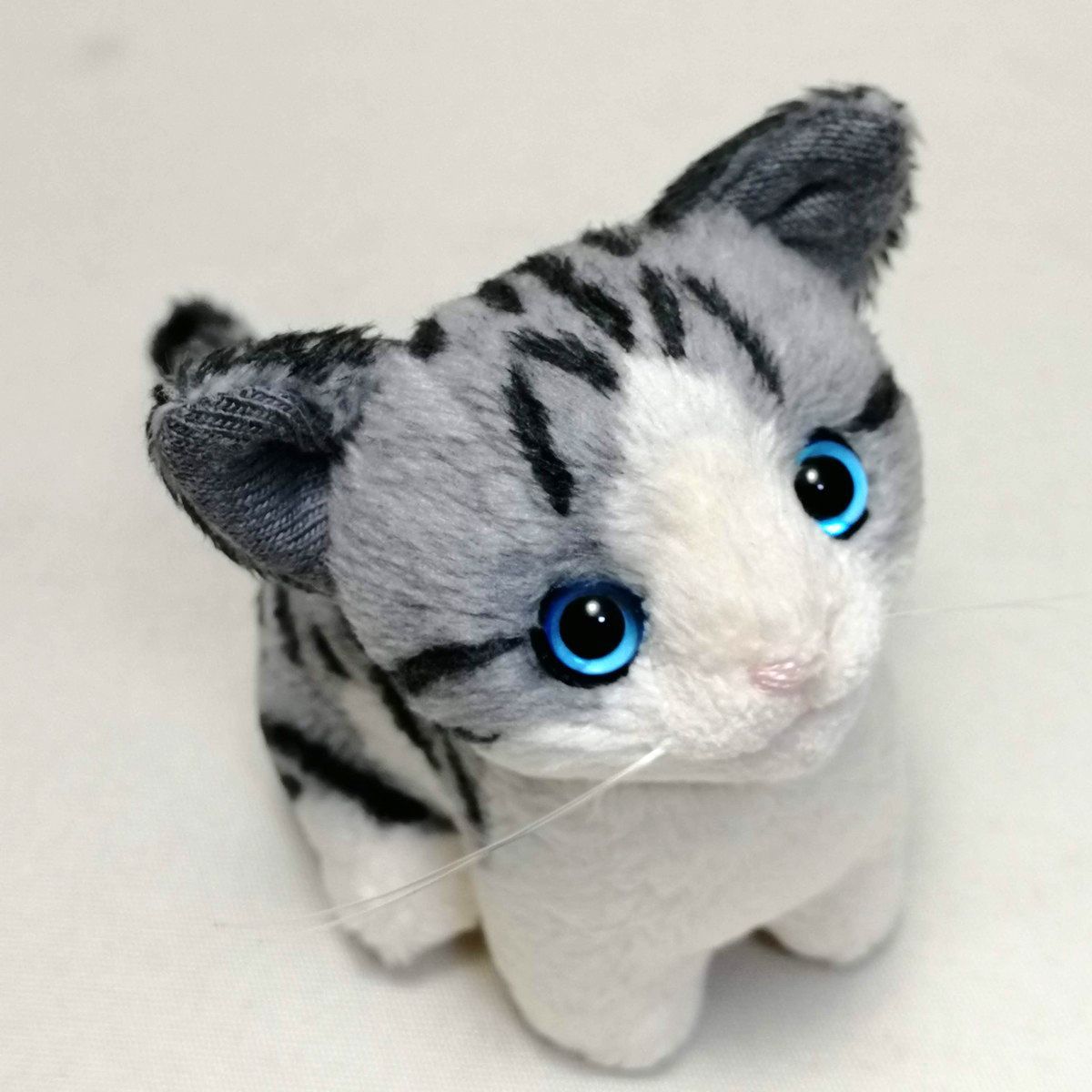 ちびにゃサバトラ白