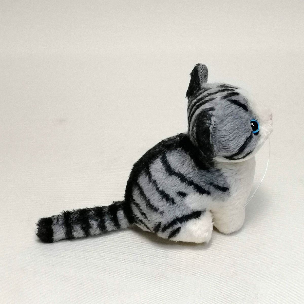 ちびにゃサバトラ白 ブルーアイ