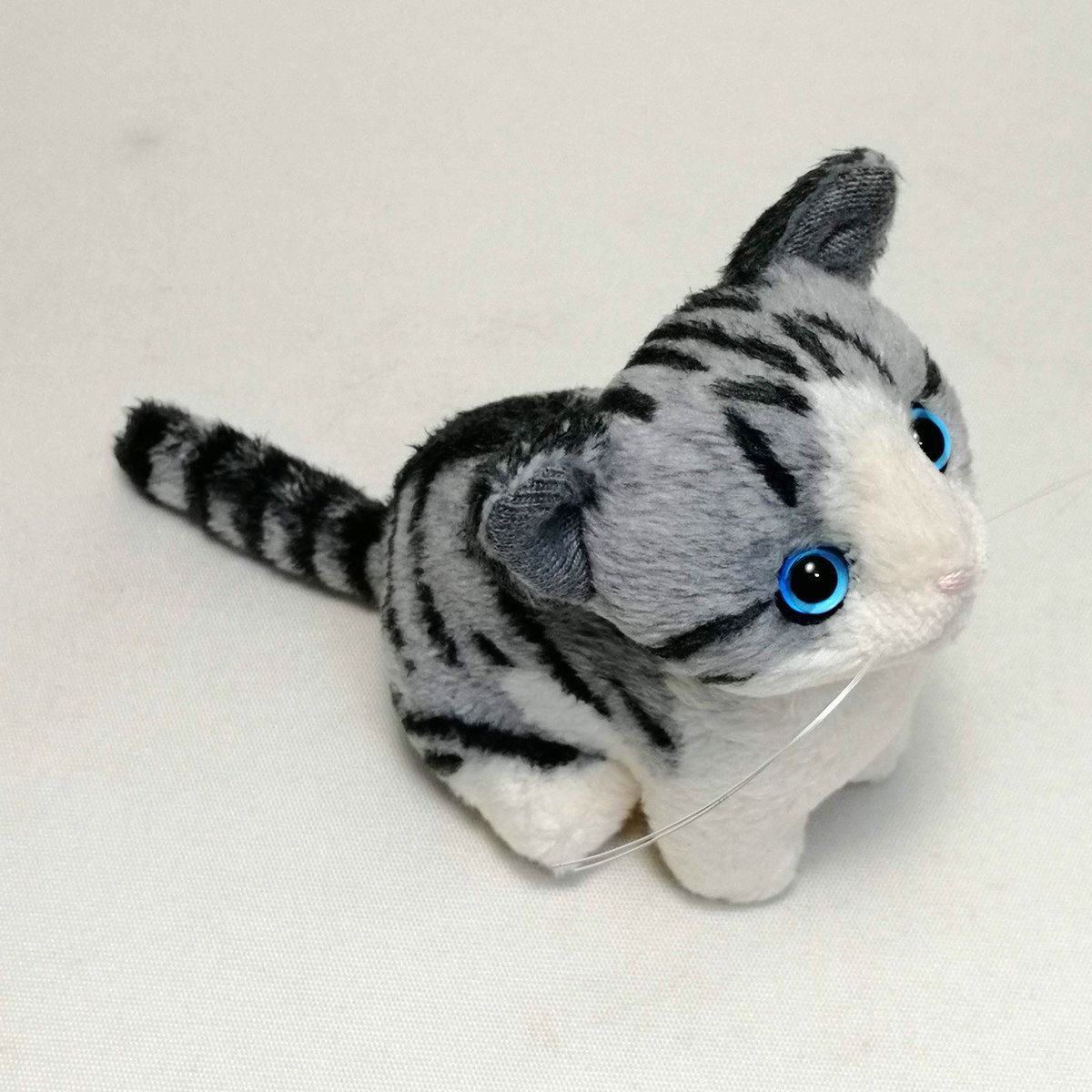 ちびにゃサバトラ白 ブルーアイ