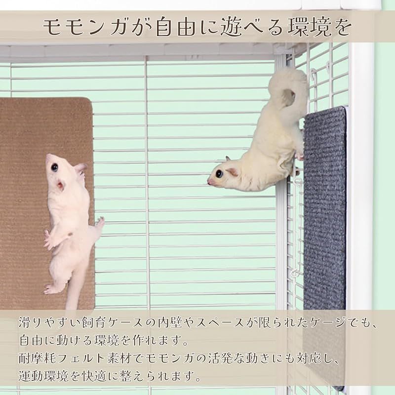 モモンガ　アクリルケージ　小動物 登って遊べる】 モモンガ ケージ 運動 マット 小動物 飼育 モモンガ