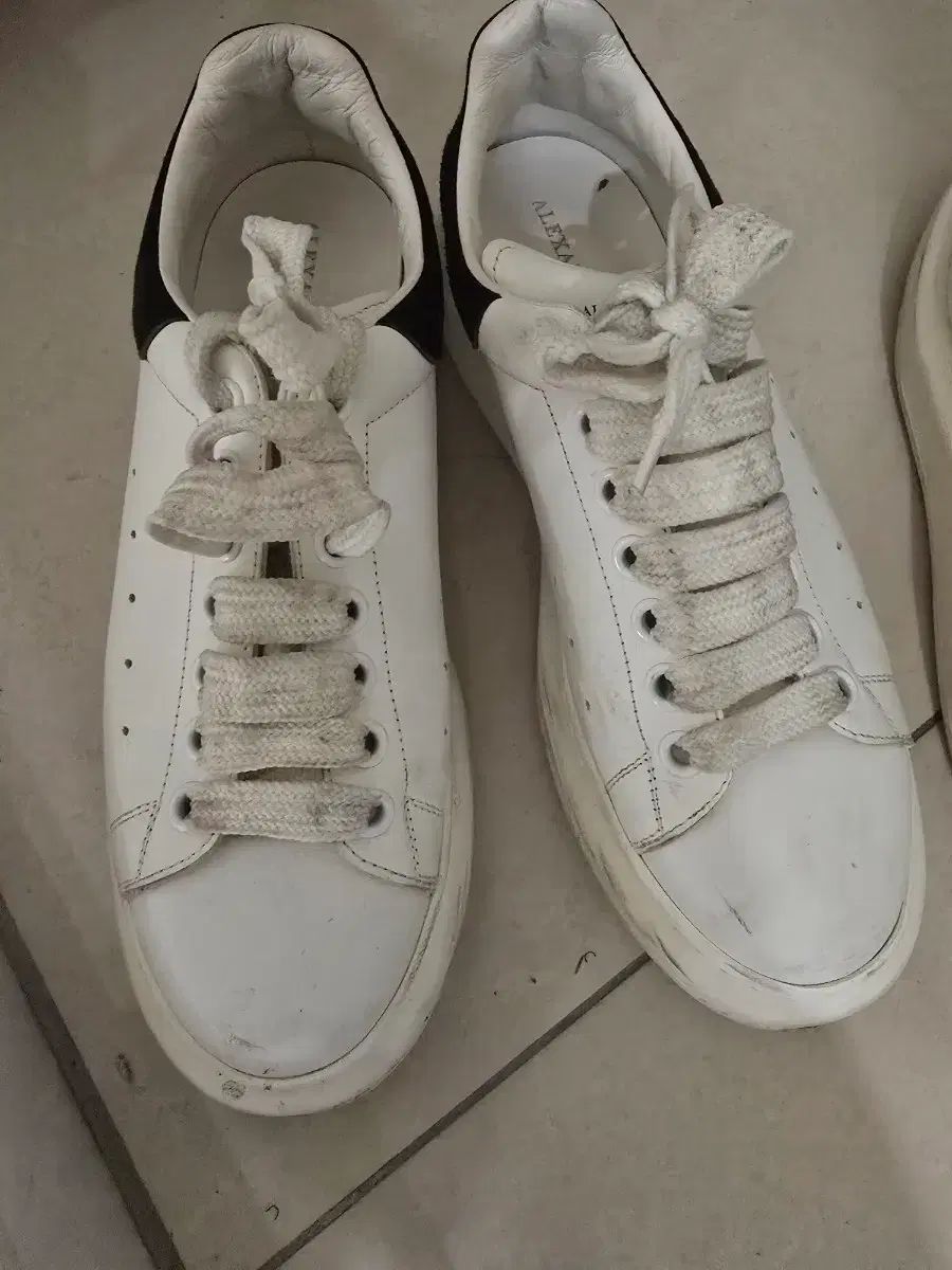 アレキサンダー