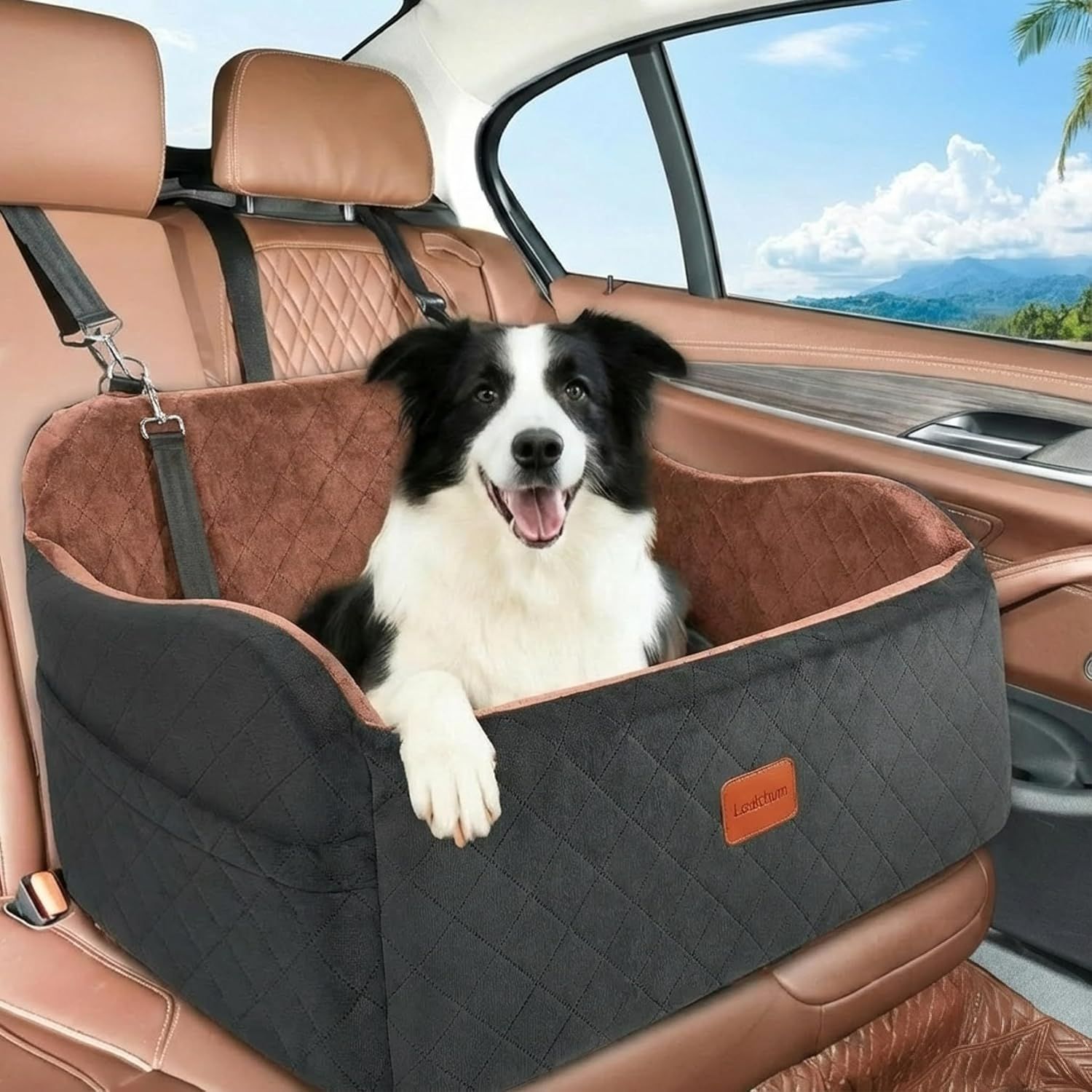 ペット用 犬車シート 助手席 犬 ドライブボックス 外が見える ドライブ
