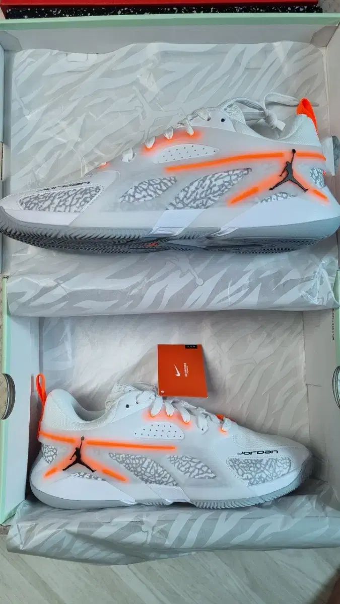 ドリーム> グッチ