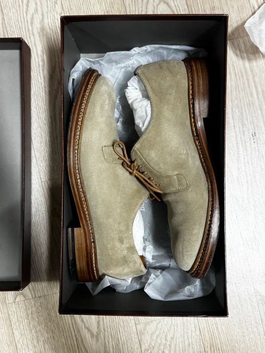 バーウィック5341 255 260