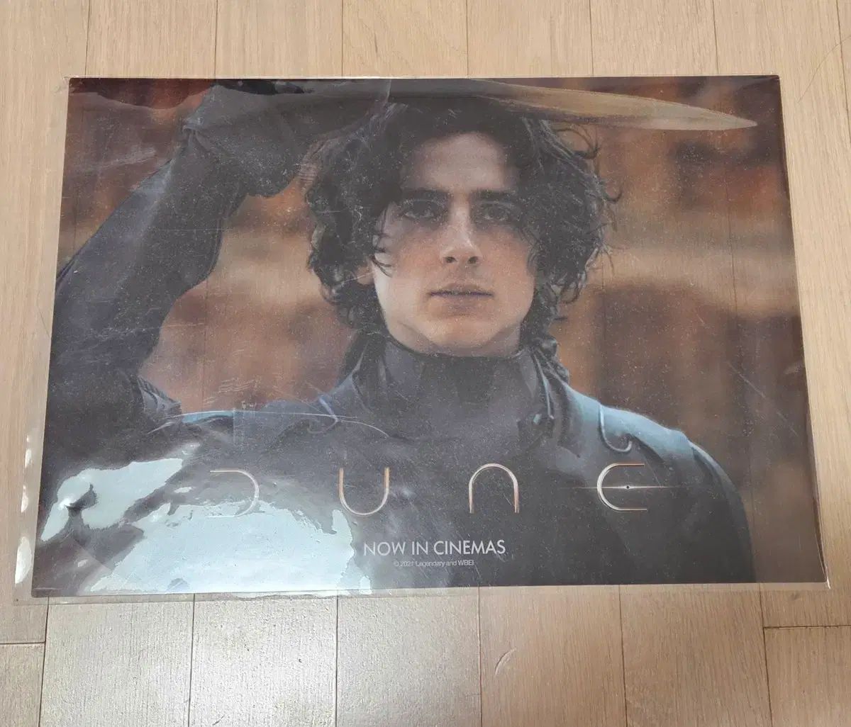 デューン ティモシー シャラメ PET ポスター 特典