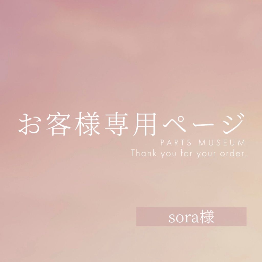 sora様専用ページ ご購入期限1月25日まで - メルカリ