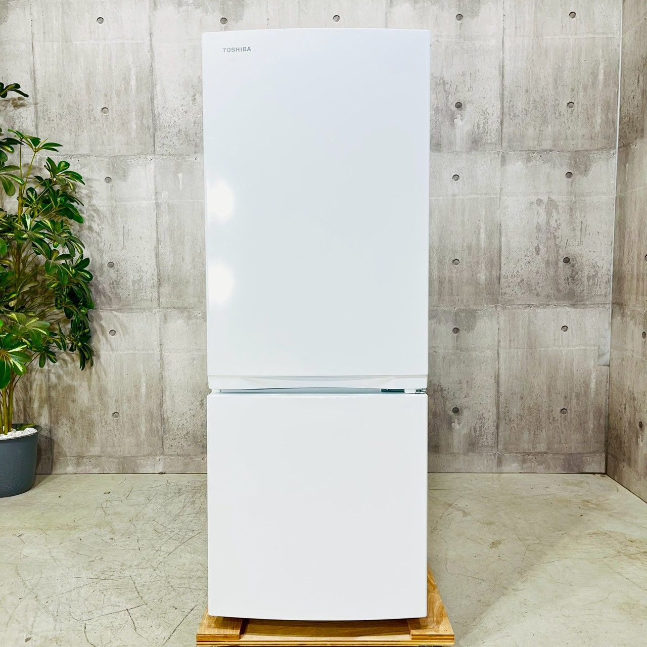 ♦️TOSHIBA a4603 2ドア冷蔵庫 153L 2024年製 2♦️ - メルカリ