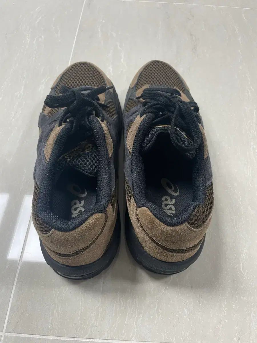 ミッドナイト 260