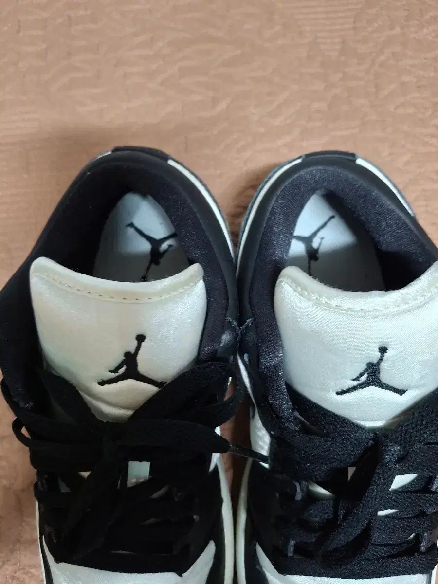 ロー レディース