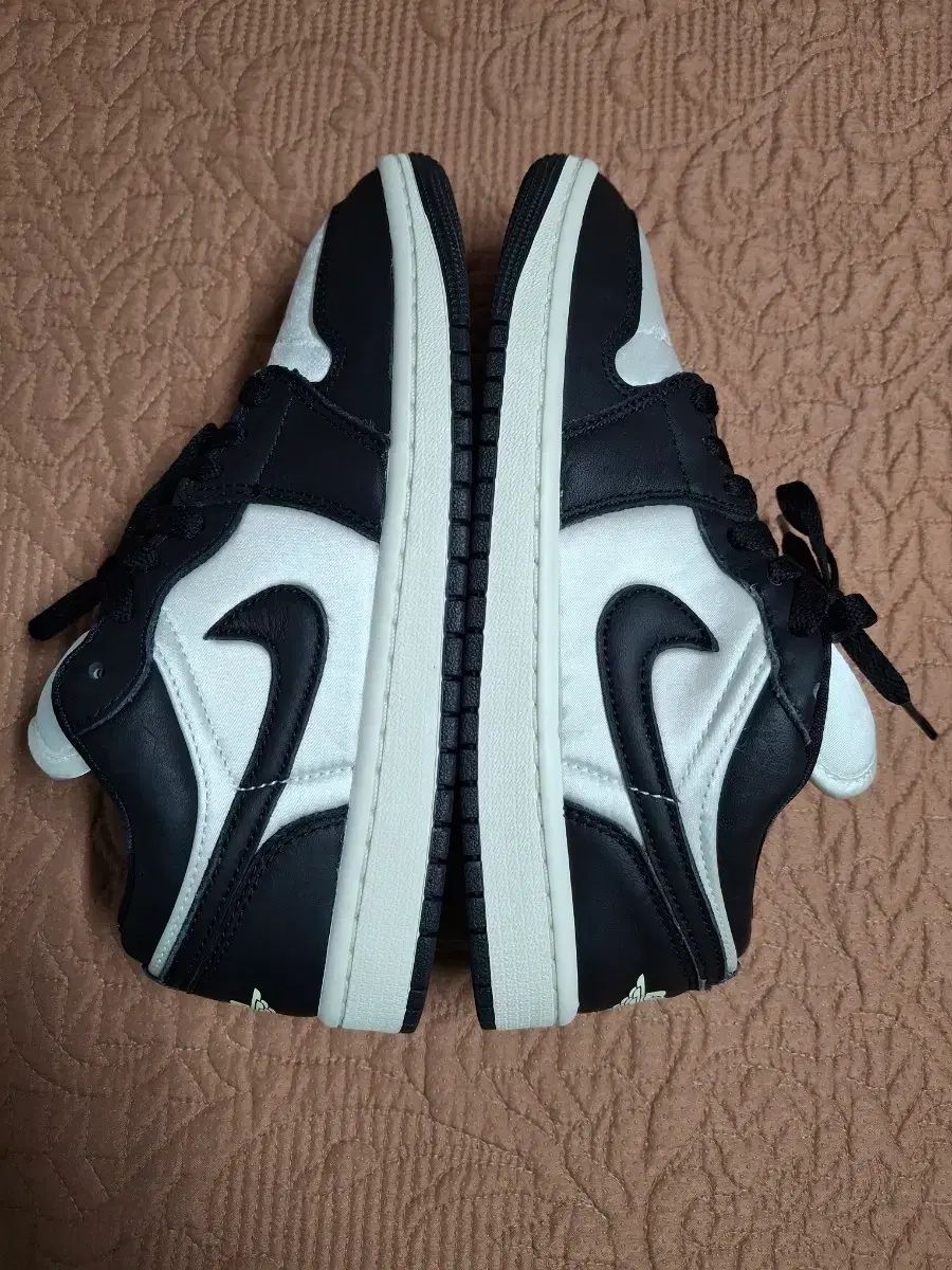 ロー レディース