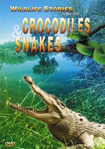 Crocodiles - Snakes DVD 品