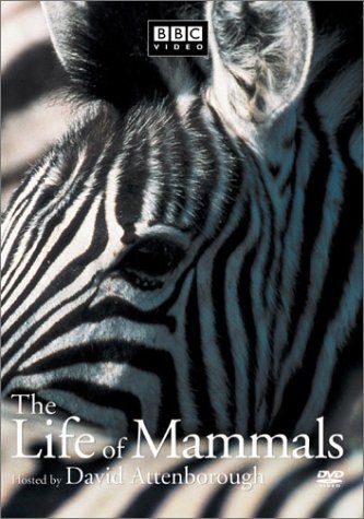 Life of Mammals 1 DVD 品