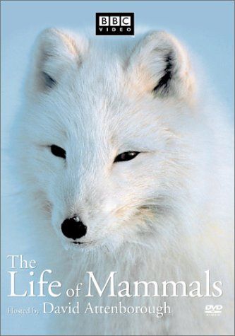 Life of Mammals 2 DVD 品