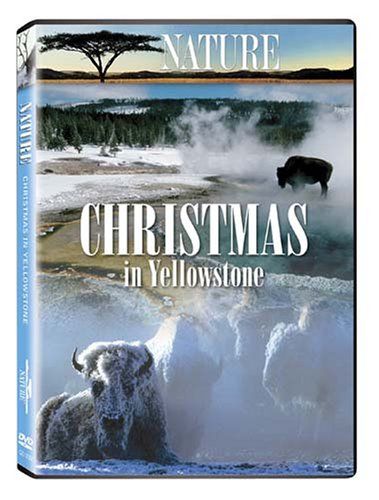 Nature Christmas in Yellowstone DVD 品