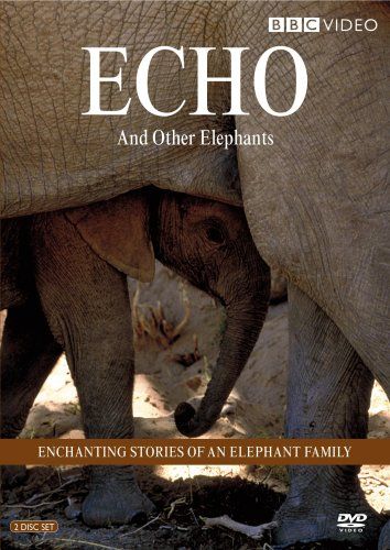 Echo - Other Elephants DVD 品
