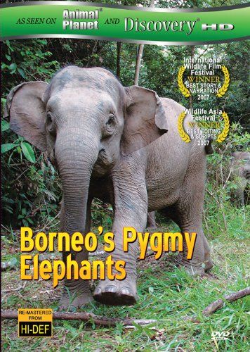 Borneos Pygmy Elephants DVD 品