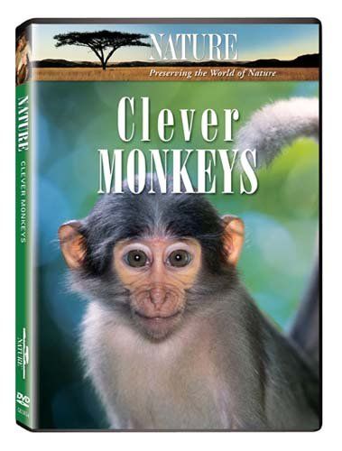 Nature Clever Monkeys DVD 品