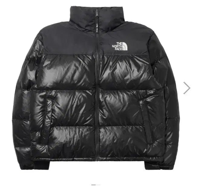 THE NORTH FACE ザノースフェイス 1996 Nuptse ヌプシ ダウン エコー 光沢ブラック M 95 ジャケット