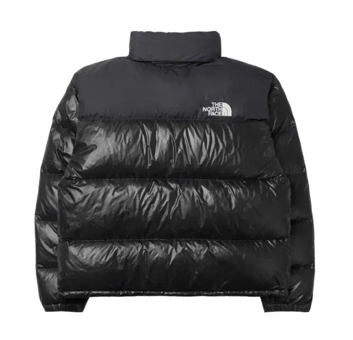 THE NORTH FACE ザノースフェイス 1996 Nuptse ヌプシ ダウン エコー 光沢ブラック M 95 ジャケット