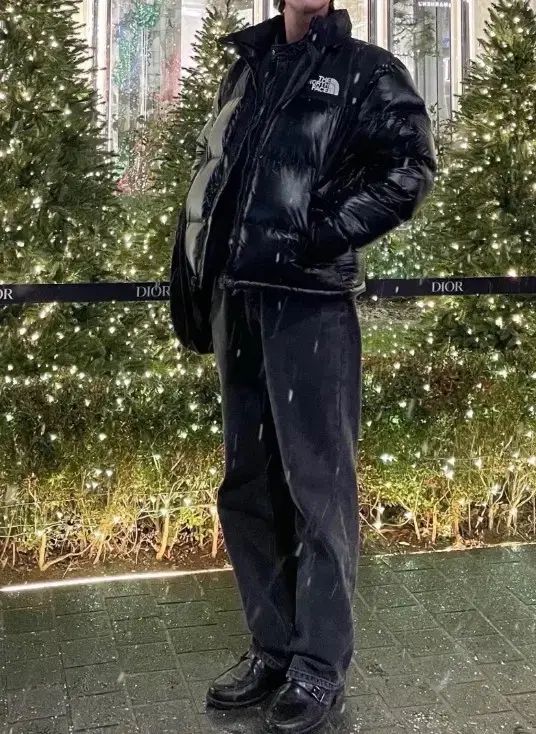  THE NORTH FACE ザノースフェイス 1996 Nuptse ヌプシ ダウン エコー 光沢ブラック M 95 ジャケット ダウンジャケット ジャケット アウター