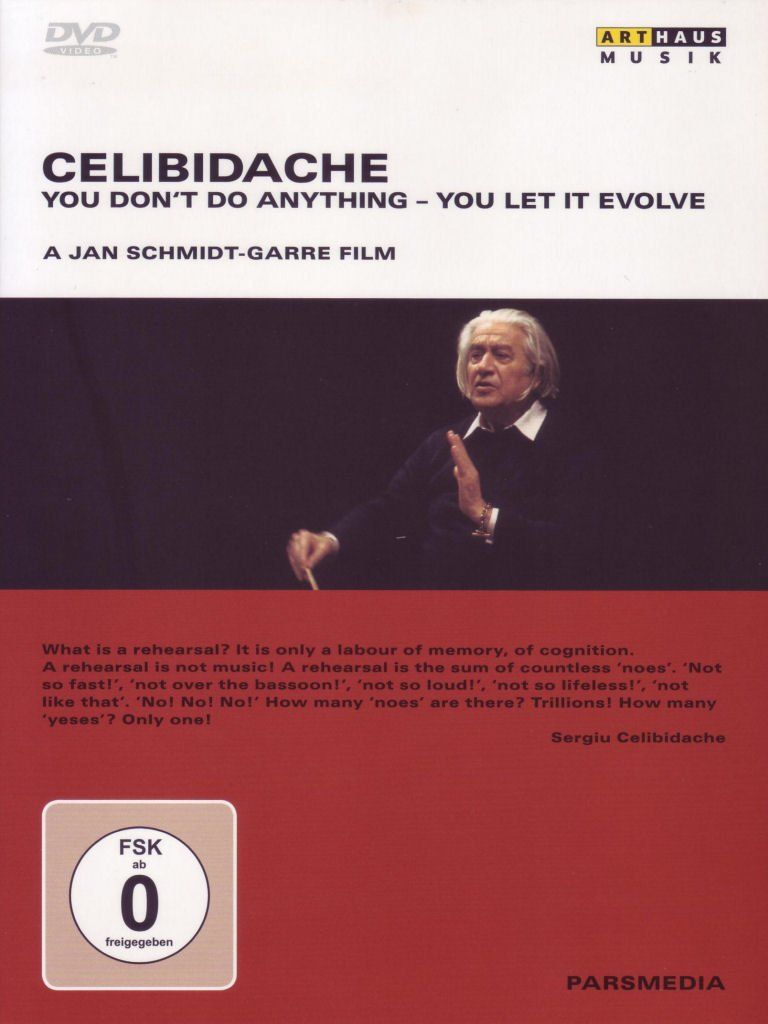 Celibidache You Don t Do Anything Let It DVD 品