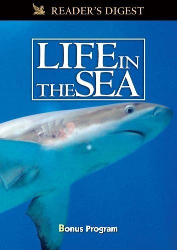 Wondrous Secrets of the Ocean Realm Life in Sea 品