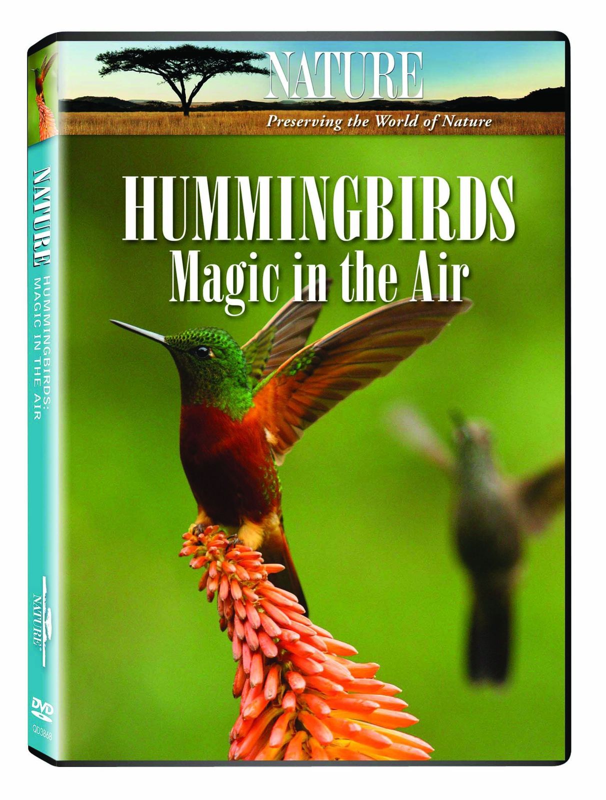 Nature Hummingbirds DVD 品 その他 DVD CD DVD ブルーレイ
